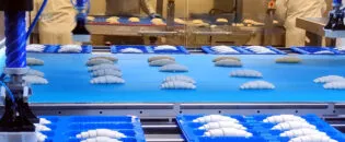 Challenges in Measuring Packaged Food Through Plastic Packaging