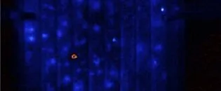 Dynamic Shunt Imaging in Solar Cells with Illuminated Lock-in Techniques